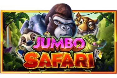 6 bet